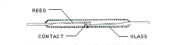 Dry Reed Switch Dry Reed Switch